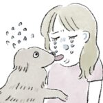 慰め猫(あたたか)