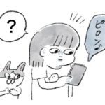 猫写真