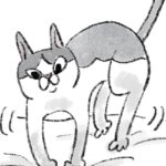 まくら独り占め猫