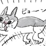 ウンチハイ猫