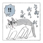 吐く猫　おえおえ