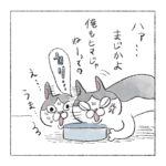 おやつおねだり猫