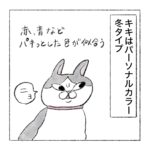 パーソナルカラーと猫