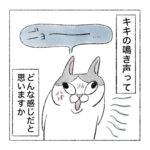 ダミ声猫
