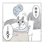 返事しすぎ猫