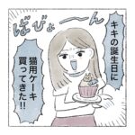 猫用ケーキ🍰