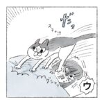 こういうラッキーもある