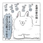 猫のゴロゴロ