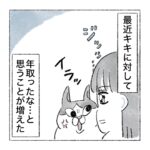 老いていく猫