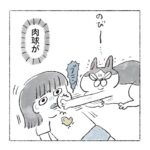 肉球猫