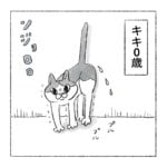 去勢猫　モフモフ