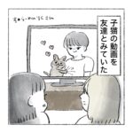 🍣🍜りくさんの猫