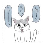 夜中の猫
