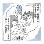 レーザーポインターはやめてね猫