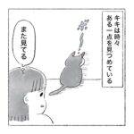 霊感があるのか猫