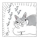 膝に乗るうさぎ　猫