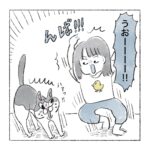 鬼ごっこの流れ　猫