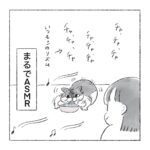 チャチャチャ　猫