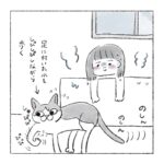 お風呂場に猫