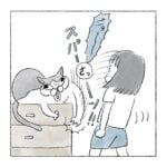 執念つよつよ猫