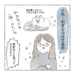 猫の毛を付けてゆくのだ