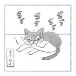 指しゃぶり猫