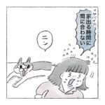抗えない　猫