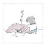 腕を出す　猫