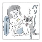 スマホ立てにされる猫