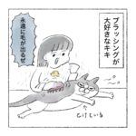猫の毛玉ボール