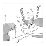 目で叱ってくる猫