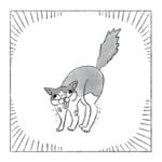 ショックを受ける猫