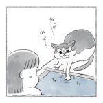 風呂場の当たり屋