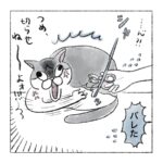 母と爪切りと猫