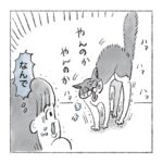 ハイからのキレ
