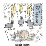 野良猫とカラスと私