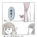 隠れる猫