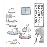 猫カフェに癒しを求めて…