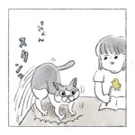 母にバレたくない猫