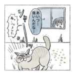 野良猫の中のボス猫