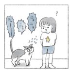 猫のおしゃべり🗣️🐈