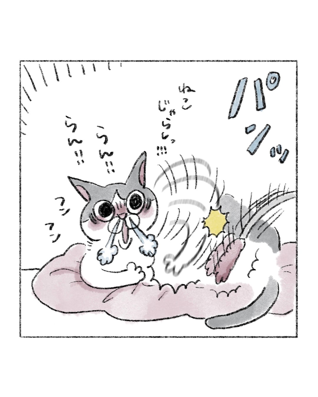 我に返る猫 │ うみのなか。