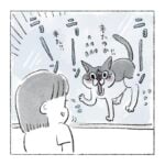 帰省したときのキキ