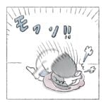 ねこ巻き🌀うまりたい