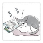 キキへ、本が出たよ