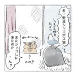 研なお子似