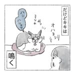 新発見、猫のかわいいとこ
