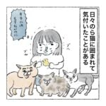 顔でか猫