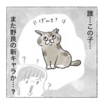 どこの子ですか？