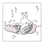 猫、状況が理解できない時”無”になる
